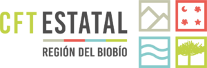 Centro de Formación Técnica Estatal de la Región del Biobío